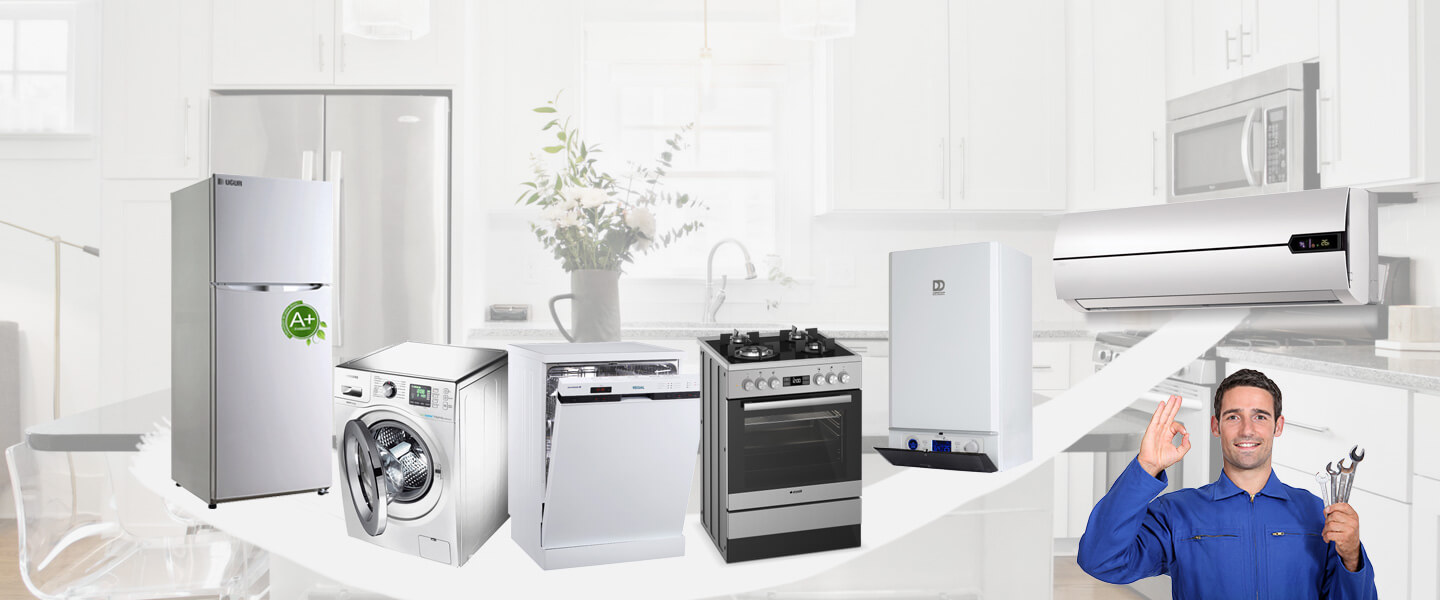 Yelki Electrolux Servisi